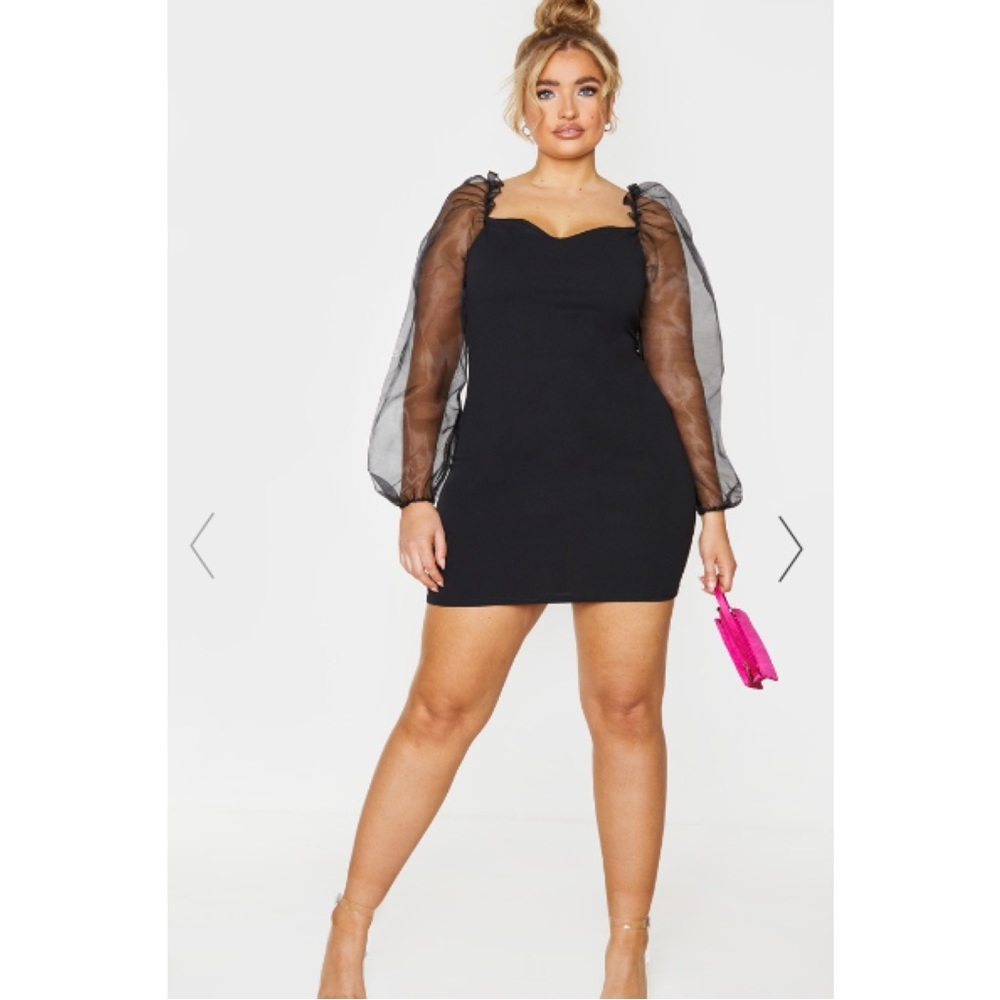 PLT Organza Sleeve Dress